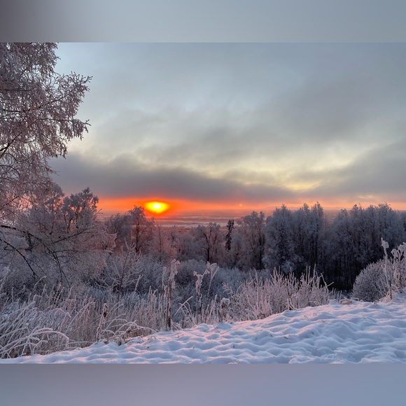 Alaska - Picture 5 of 14